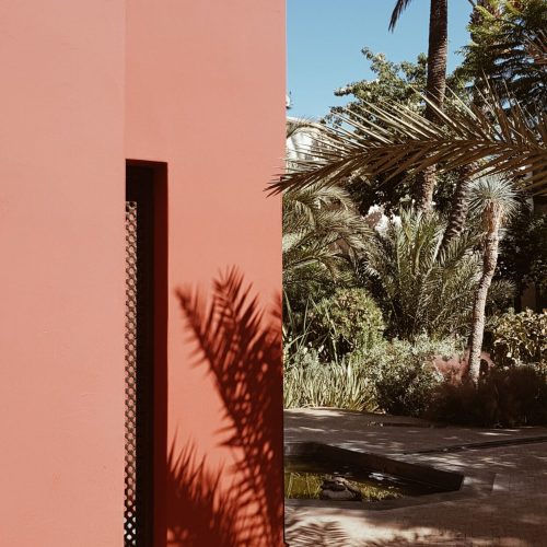 alba-iglesias-dVrP74maVII-unsplash alba-iglesias-dVrP74maVII-unsplash
